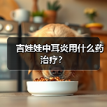 吉娃娃中耳炎用什么药治疗？（图3）