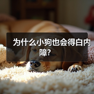 为什么小狗也会得白内障？（图3）