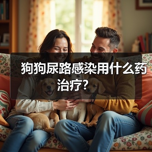 狗狗尿路感染用什么药治疗？（图3）