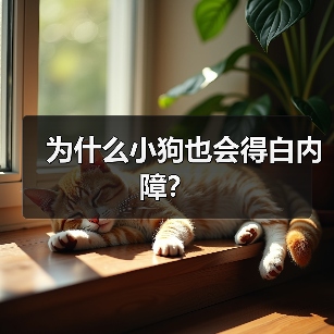 为什么小狗也会得白内障？（图2）