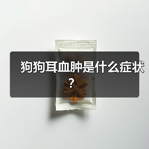 狗狗耳血肿是什么症状？（图4）