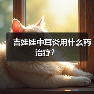 吉娃娃中耳炎用什么药治疗？（图4）