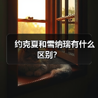 约克夏和雪纳瑞有什么区别？（图3）