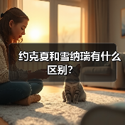 约克夏和雪纳瑞有什么区别？（图2）