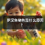 罗汉鱼褪色是什么原因？