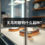 无毛狗都有什么品种？（图4）