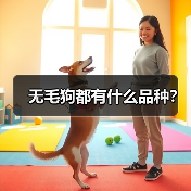 无毛狗都有什么品种？（图3）