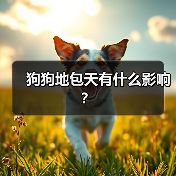 狗狗地包天有什么影响？（图3）