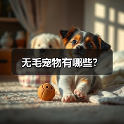 无毛宠物有哪些？