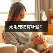 无毛宠物有哪些？（图3）
