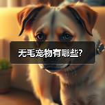 无毛宠物有哪些？（图4）