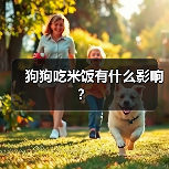 狗狗吃米饭有什么影响？