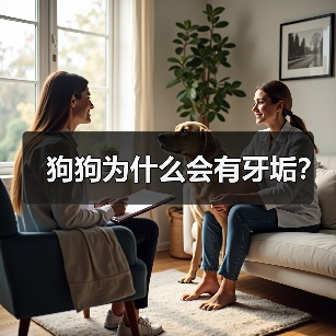 狗狗为什么会有牙垢？（图4）