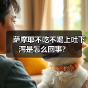 萨摩耶不吃不喝上吐下泻是怎么回事？（图1）