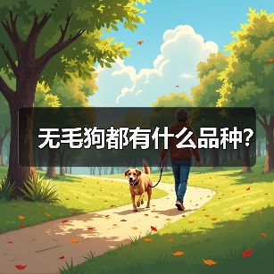 无毛狗都有什么品种？（图2）