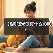 狗狗吃米饭有什么影响？（图4）