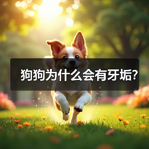 狗狗为什么会有牙垢？（图2）