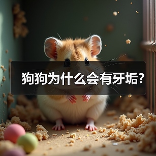 狗狗为什么会有牙垢？（图3）