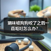 猫咪被狗狗咬了之后一直呕吐怎么办？（图4）