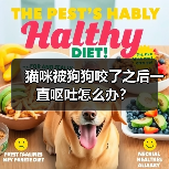 猫咪被狗狗咬了之后一直呕吐怎么办？（图2）