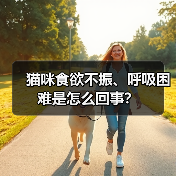 猫咪食欲不振、呼吸困难是怎么回事？（图4）