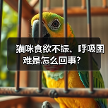 猫咪食欲不振、呼吸困难是怎么回事？（图2）