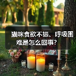 猫咪食欲不振、呼吸困难是怎么回事？（图3）