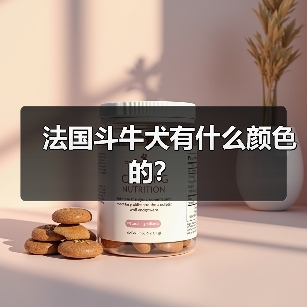 法国斗牛犬有什么颜色的？（图2）