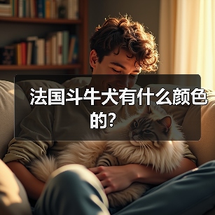 法国斗牛犬有什么颜色的？（图4）