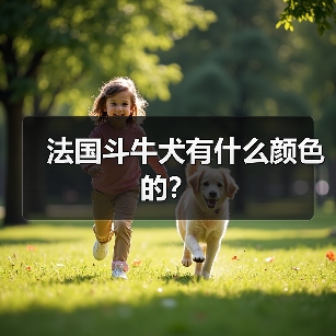法国斗牛犬有什么颜色的？（图1）