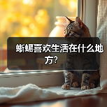 蜥蜴喜欢生活在什么地方？（图2）