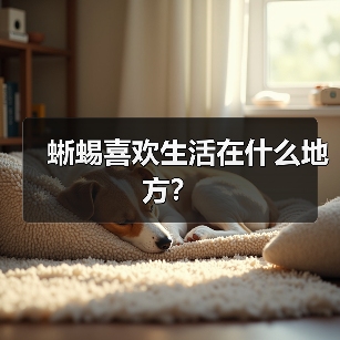蜥蜴喜欢生活在什么地方？（图3）