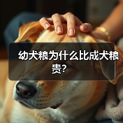幼犬粮为什么比成犬粮贵？（图4）