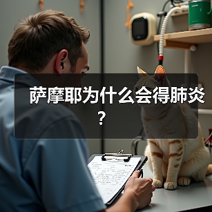 萨摩耶为什么会得肺炎？（图4）