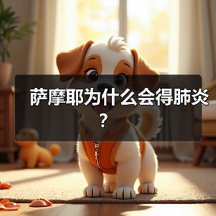 萨摩耶为什么会得肺炎？（图3）