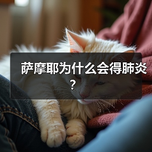萨摩耶为什么会得肺炎？