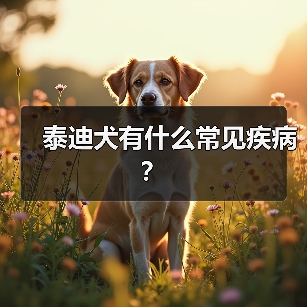 泰迪犬有什么常见疾病？（图2）