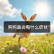 狗狗鼻炎有什么症状？（图1）
