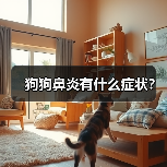 狗狗鼻炎有什么症状？（图4）