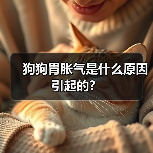 狗狗胃胀气是什么原因引起的？（图2）