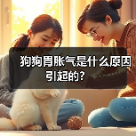 狗狗胃胀气常见原因及应对方法