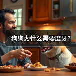 狗狗为什么需要磨牙？（图2）