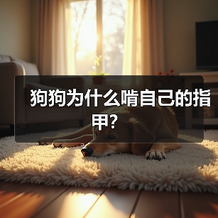狗狗为什么啃自己的指甲？（图2）
