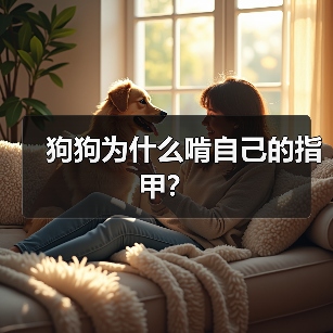 狗狗为什么啃自己的指甲？（图4）