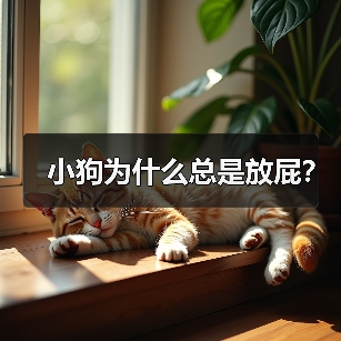 小狗为什么总是放屁？（图3）
