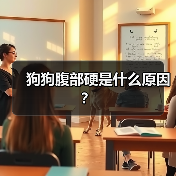 狗狗腹部硬是什么原因？（图3）