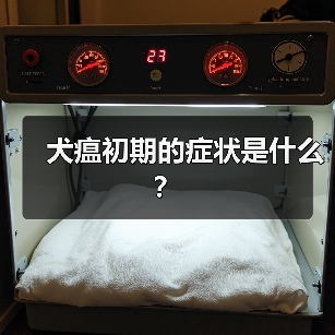 犬瘟初期的症状是什么？（图3）