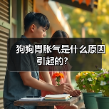 狗狗胃胀气是什么原因引起的？（图4）