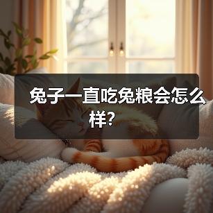 兔子一直吃兔粮会怎么样？（图2）