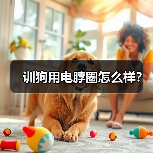 训狗用电脖圈怎么样？（图3）